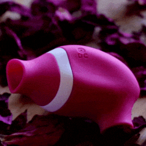 Succionadores modelo 13